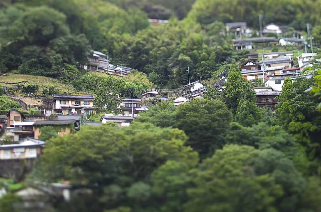 何気ない風景　仁淀川沿い‗1