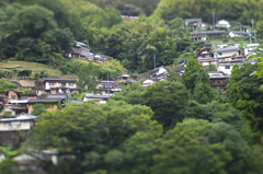 何気ない風景　仁淀川沿い‗1