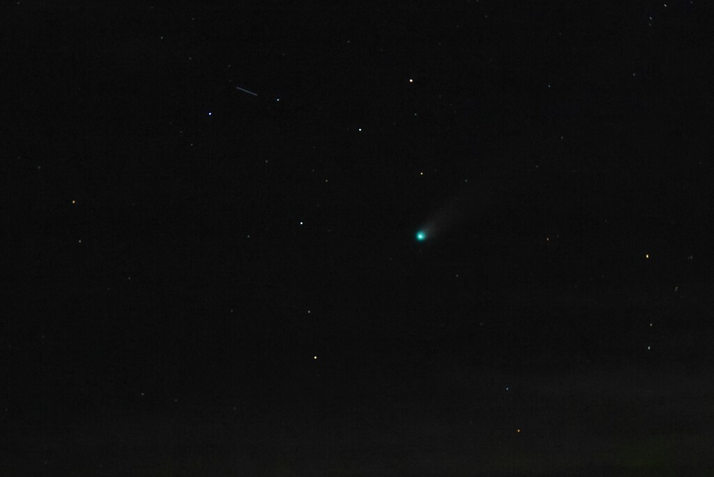 カルスト通信_ レモン彗星（真っ黒じゃないよ！）