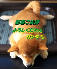 カンタよりご挨拶