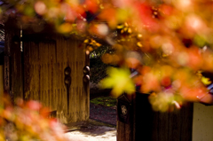 山寺の紅葉