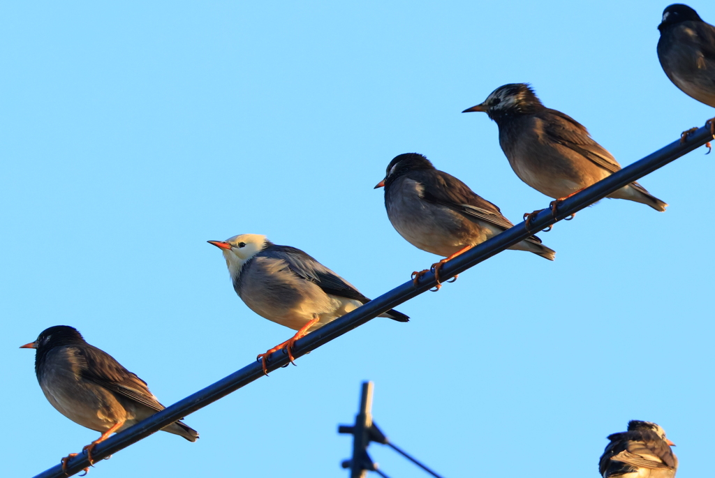 今年も会えたね