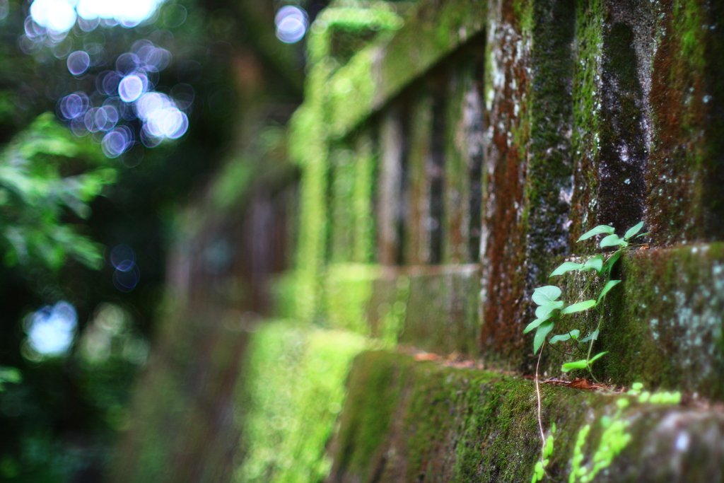 なんてことのない風景