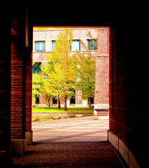 Autumn Campus