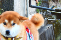 何か感じるんですけど！