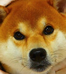 残暑お見舞い申し上げます