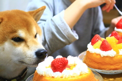 これ何これ何？いい匂いするんだけど！