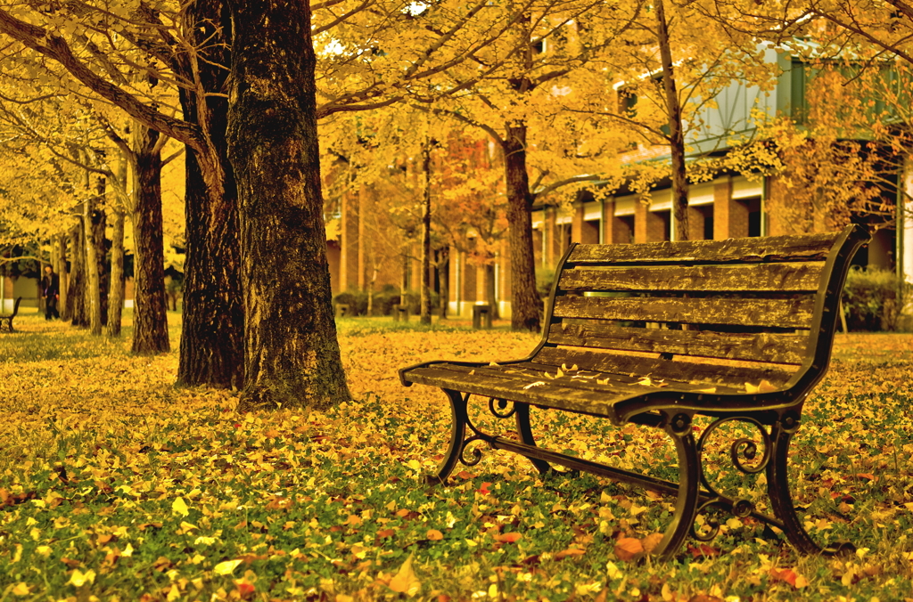 autumn　campus
