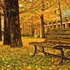autumn　campus