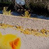 視線の先に