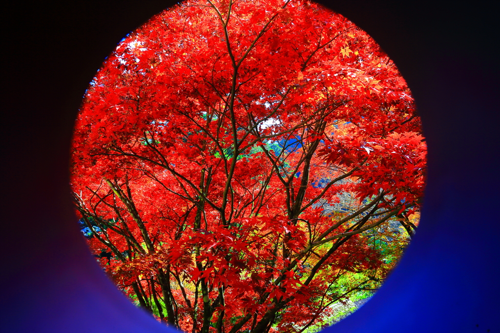 怪我の功名「ケラれフレーム」