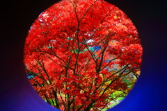 怪我の功名「ケラれフレーム」