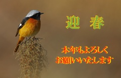 新春ご挨拶