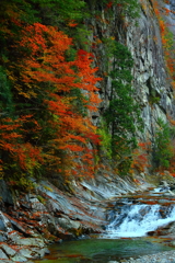 石鎚山系 清流 仁淀川源流域