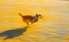 きもちぃーーーーーーー！