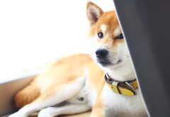 なんだか、嫌な予感がするんだけど！