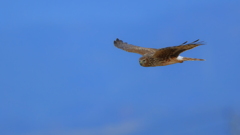 そこで何してんの？