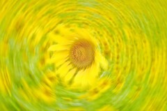 牛乳瓶の底からの眺め