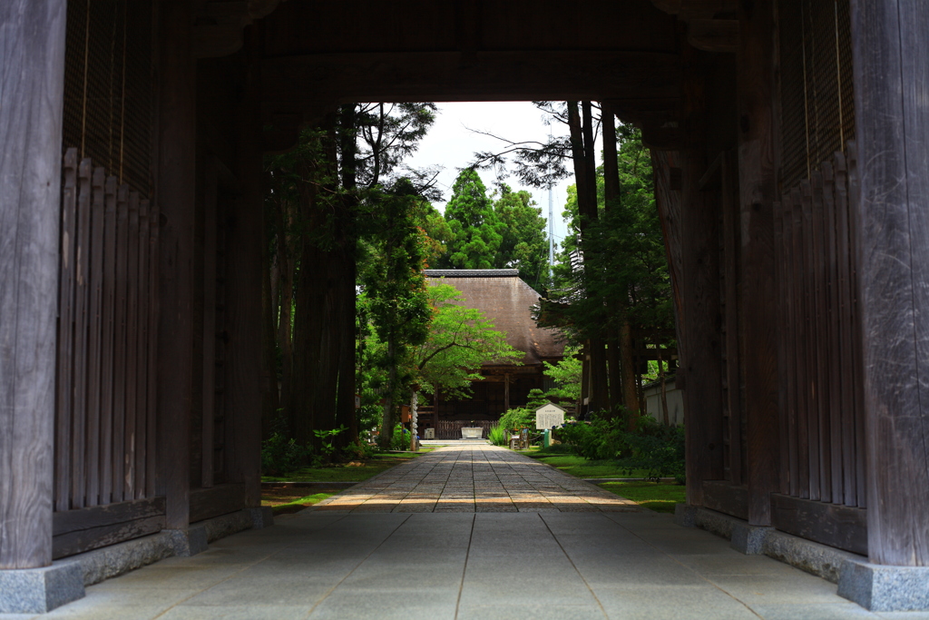 土佐国分寺　4