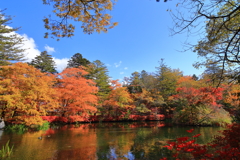 軽井沢雲場池の紅葉