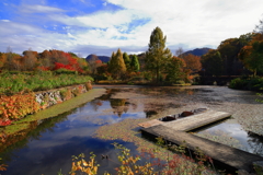 軽井沢レイクガーデンの紅葉