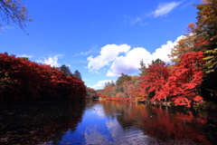 軽井沢雲場池