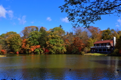 軽井沢塩沢湖の紅葉