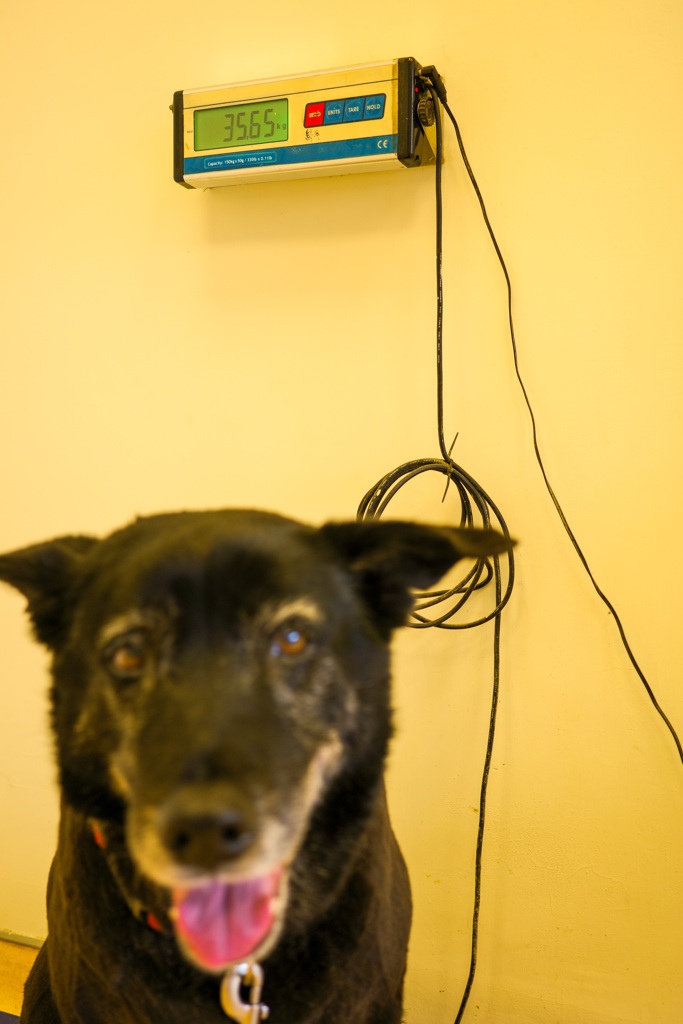 エヘッ❗️重かった？