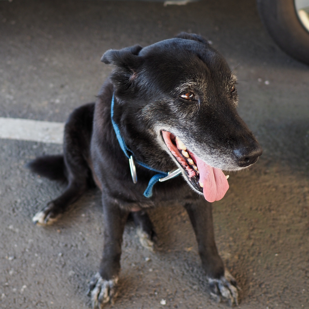 アフター5  11/13