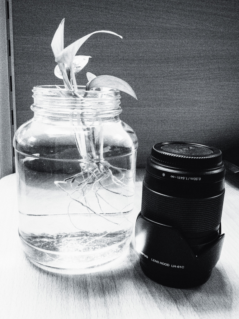 ミニアクアリウム