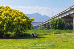 木陰でのんびり