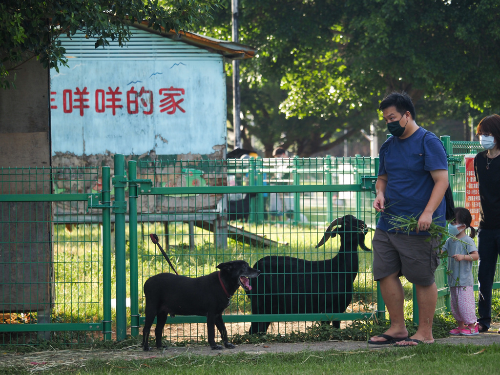 New Taipei Metropolitan Park