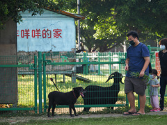 New Taipei Metropolitan Park