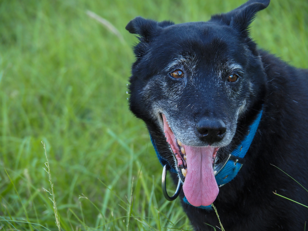 39度でもう勘弁して〜