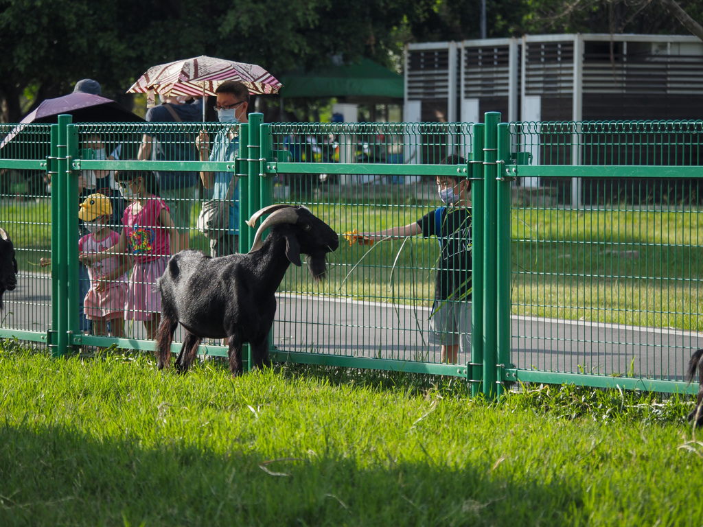 New Taipei Metropolitan Park
