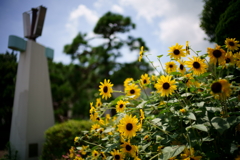 港の見える丘公園にて