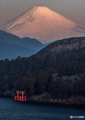 春暁芦ノ湖