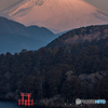 春暁芦ノ湖