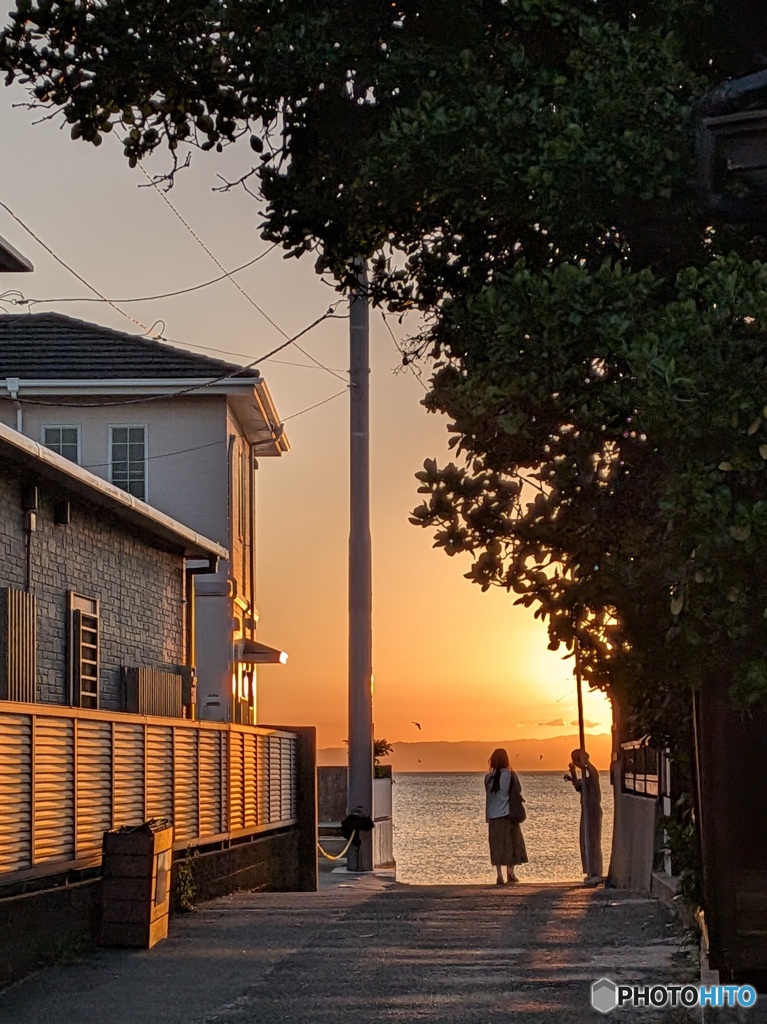 マリーゴールドに誘われて