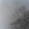 雨降山雲霧林