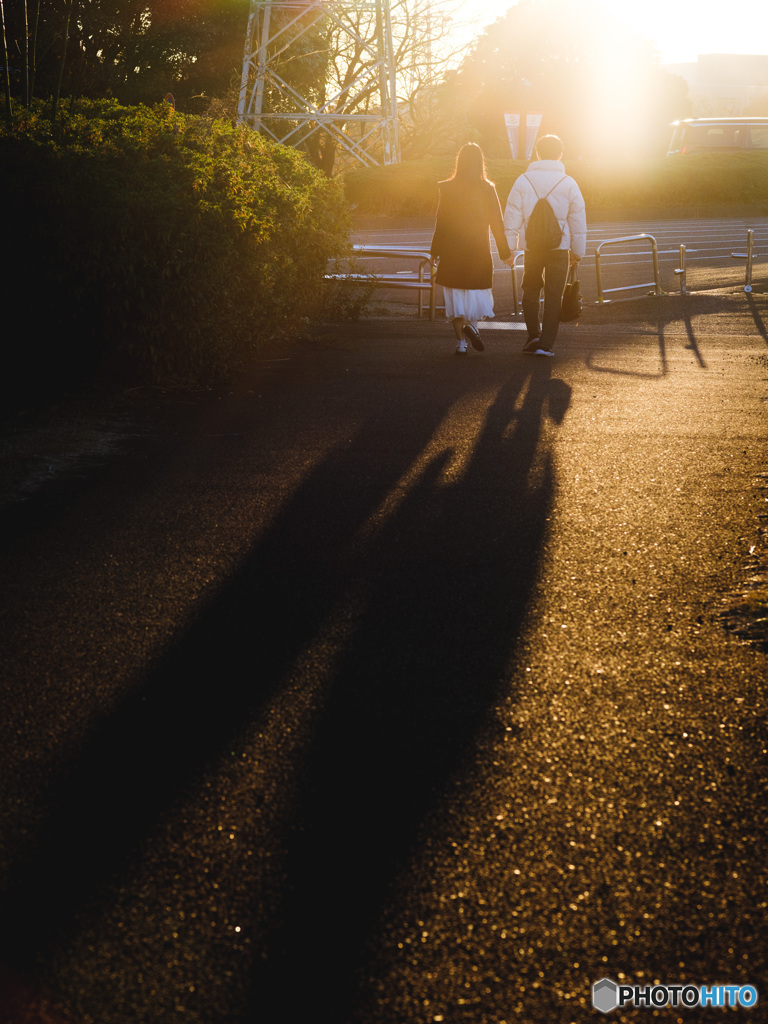 寄り添う、その影