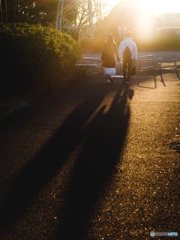 寄り添う、その影