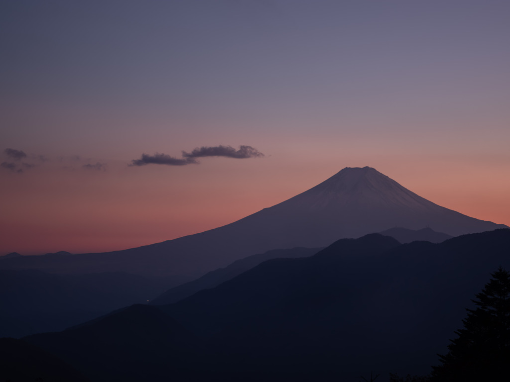 雲外蒼天