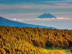 諏訪元町から30分