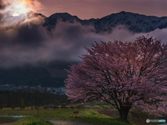 野平の夕景