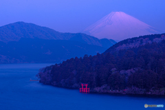 静寂芦ノ湖