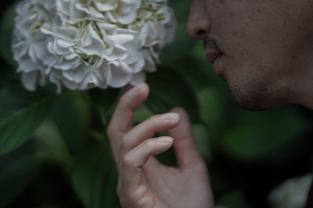 紫陽花に触れし指