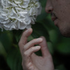 紫陽花に触れし指