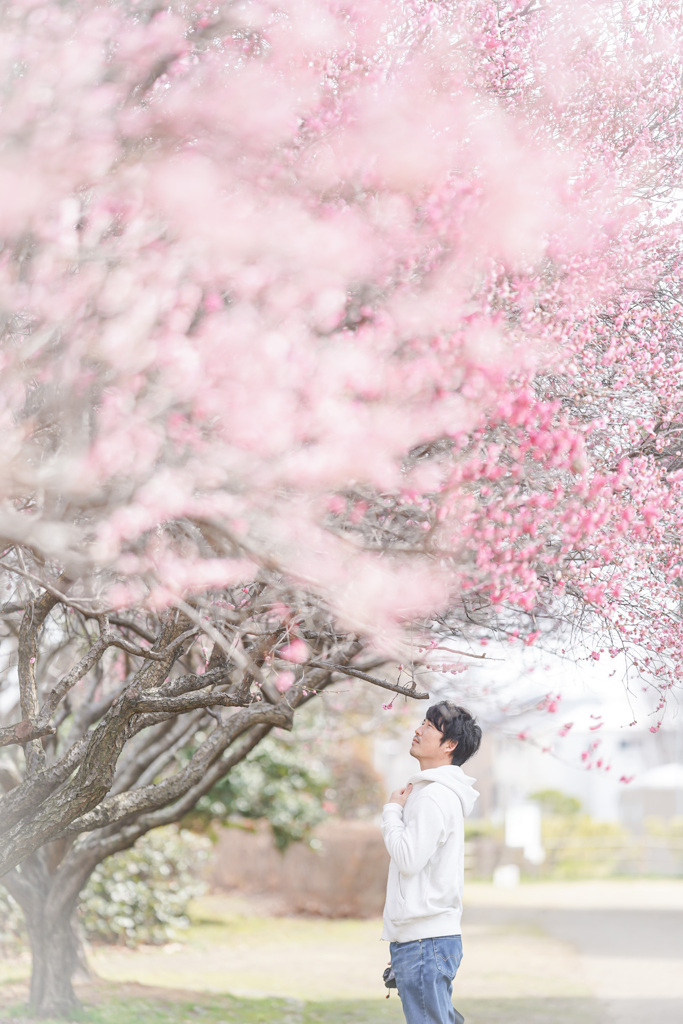 煌めく花の下で