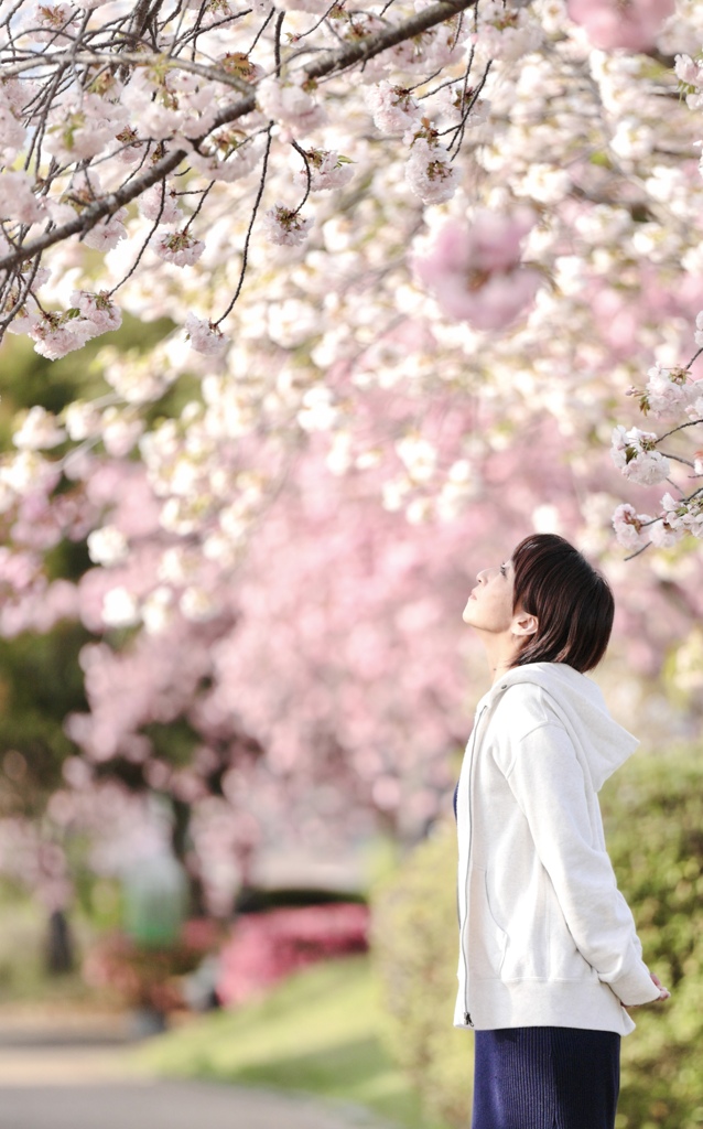 八重桜の想い